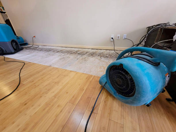 Professional Emergency Water Damage technician working in Huffman, TX